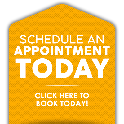 Chiropractor Near Me Palm Harbor FL Schedule An Appointment
